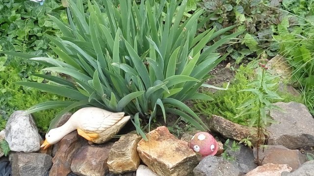 Zsiga Tünde kertje 04